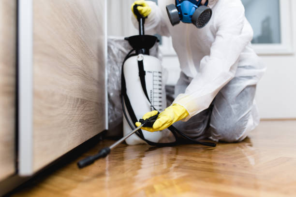 Best Wasp Removal Services  in Mccullom Lake, IL