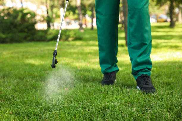 Best Best Pest Control Companies  in Mccullom Lake, IL