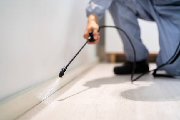 Best Pest Prevention Services  in Mccullom Lake, IL