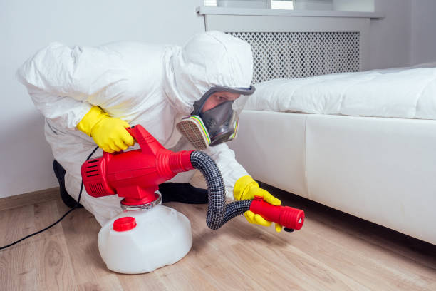 Best Rat Extermination Near Me  in Mccullom Lake, IL