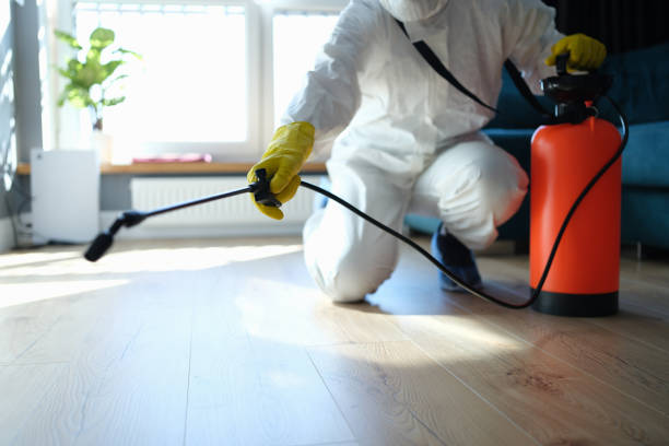 Best Flea Control Services  in Mccullom Lake, IL