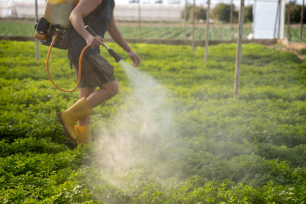 Reliable Mccullom Lake, IL Pest Control Solutions