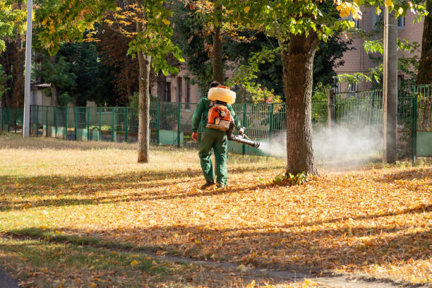 Best Exterminator Services  in Mccullom Lake, IL