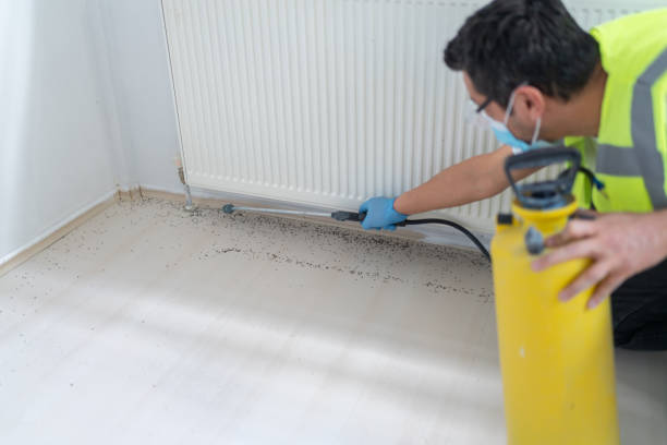 Best Bed Bug Extermination  in Mccullom Lake, IL