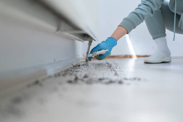 Best Local Pest Control Services  in Mccullom Lake, IL