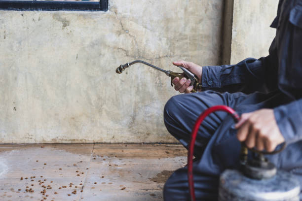 Pest Control for Restaurants in Mccullom Lake, IL