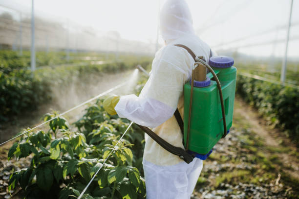 Best Affordable Pest Control Services  in Mccullom Lake, IL